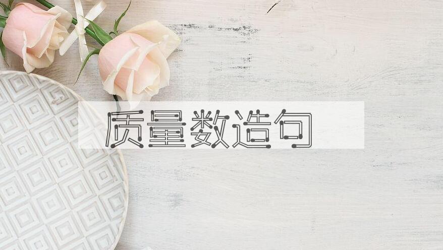 用质量数造句