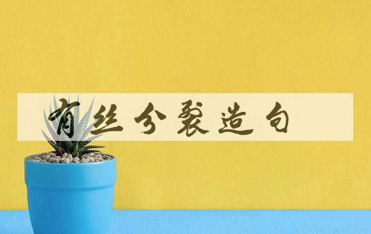 用有丝分裂造句