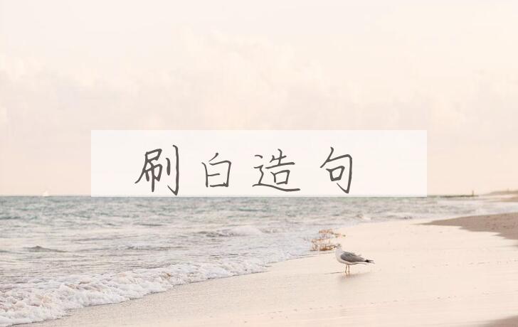用刷白造句
