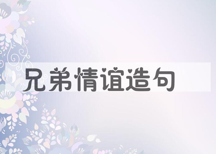 用兄弟情谊造句