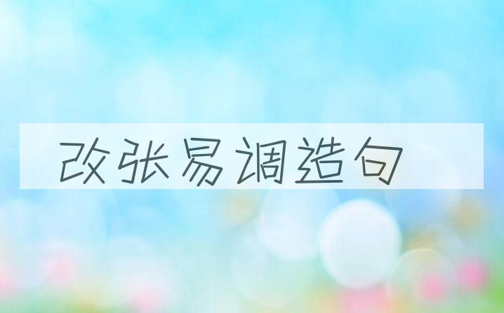 用改张易调造句