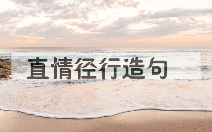 用直情径行造句