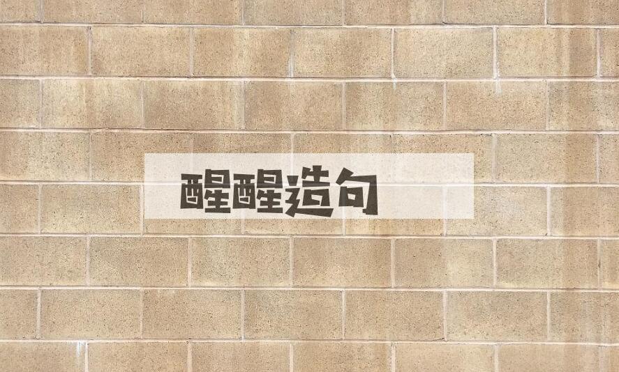 用醒醒造句