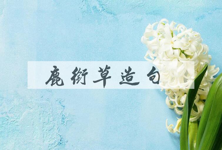 用鹿衔草造句