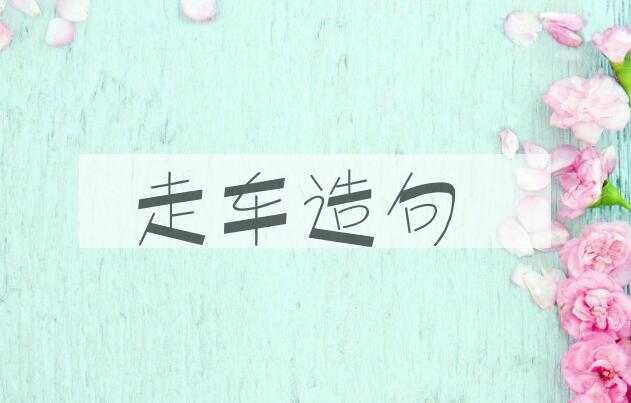 用走车造句