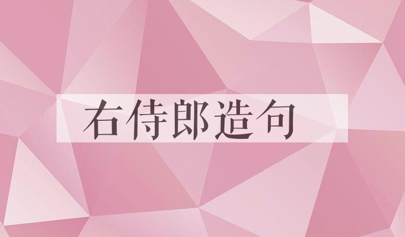 用右侍郎造句