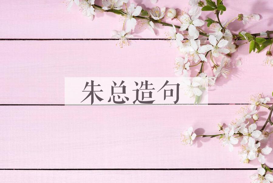用朱总造句