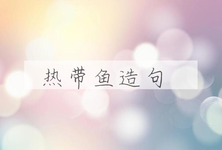 用热带鱼造句