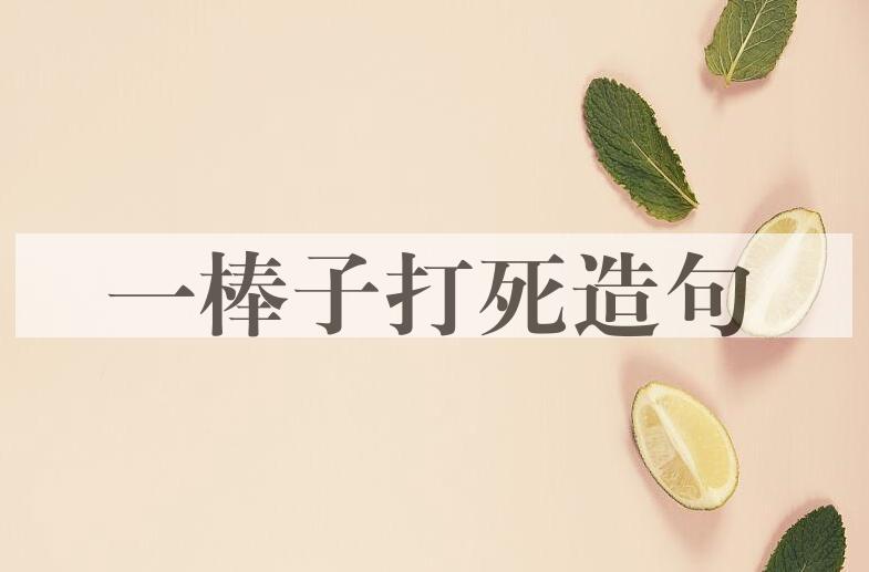 用一棒子打死造句
