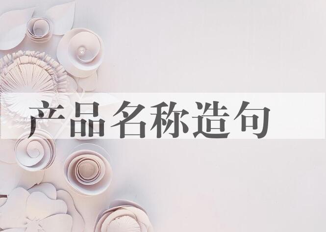 用产品名称造句