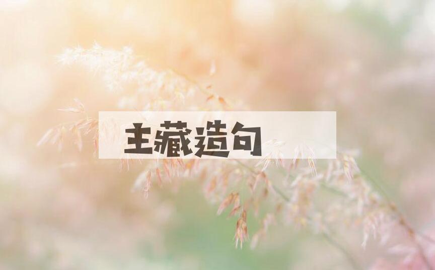 用主藏造句
