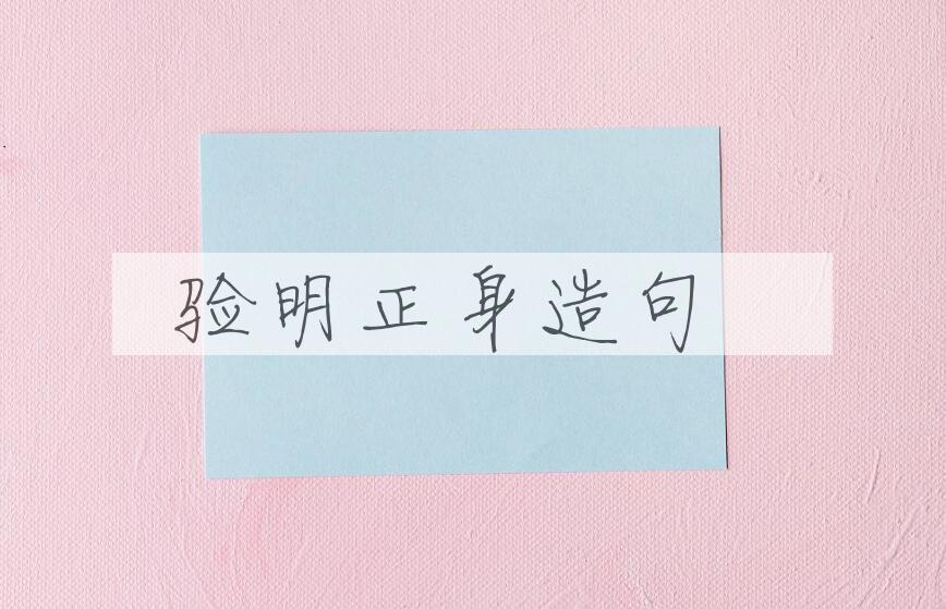 用验明正身造句