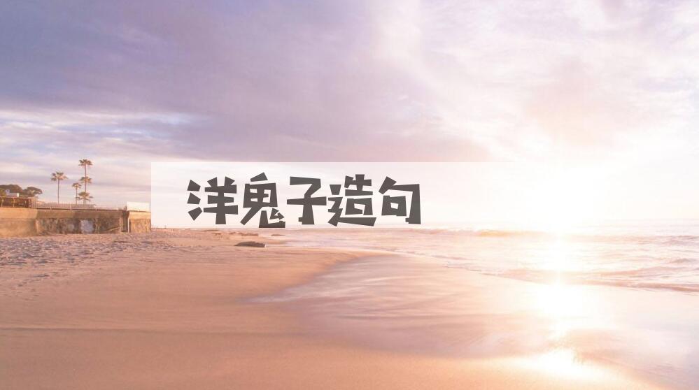 用洋鬼子造句