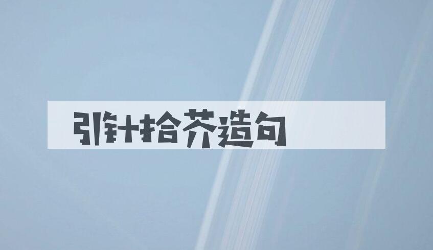 用引针拾芥造句