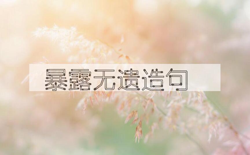 用暴露无遗造句
