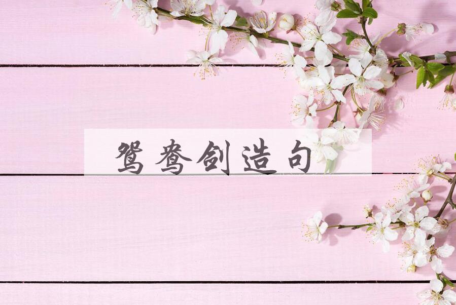 用鸳鸯剑造句
