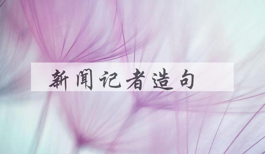 用新闻记者造句