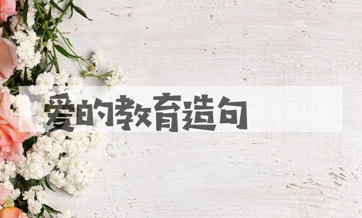 用爱的教育造句
