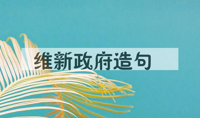 用维新政府造句