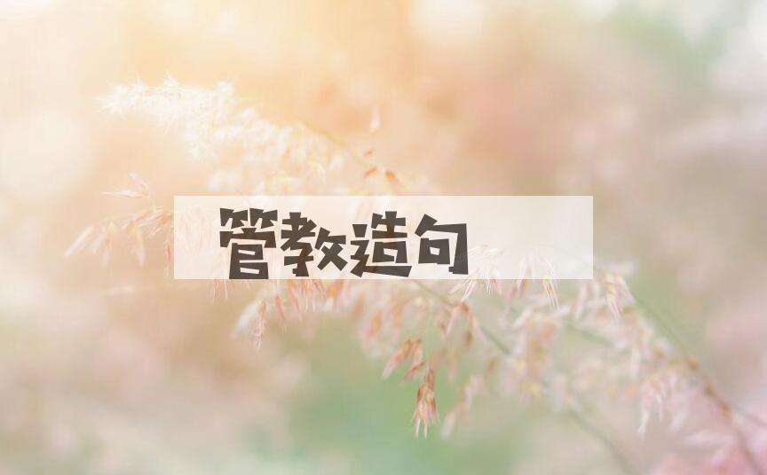 用管教造句