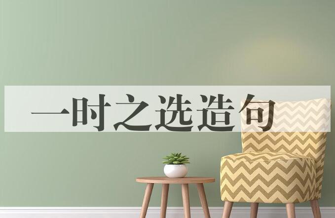 用一时之选造句