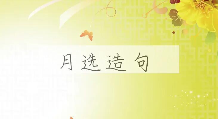 用月选造句