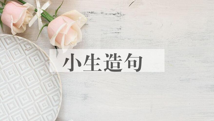 用小生造句