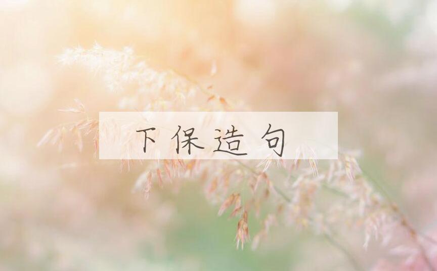 用下保造句