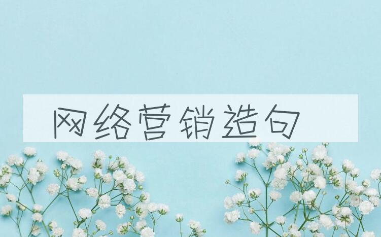 用网络营销造句