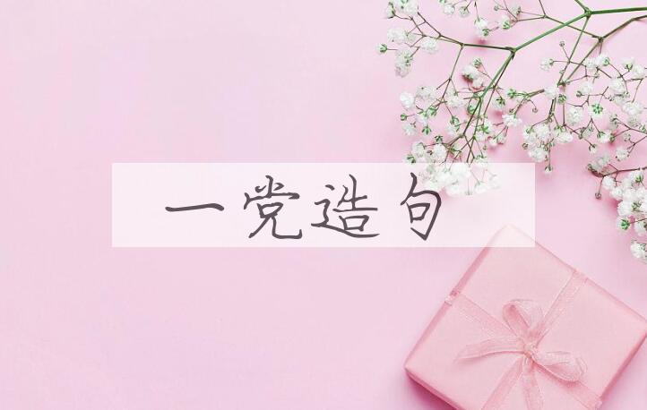 用一党造句