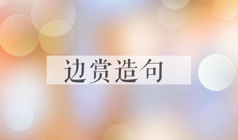 用边赏造句