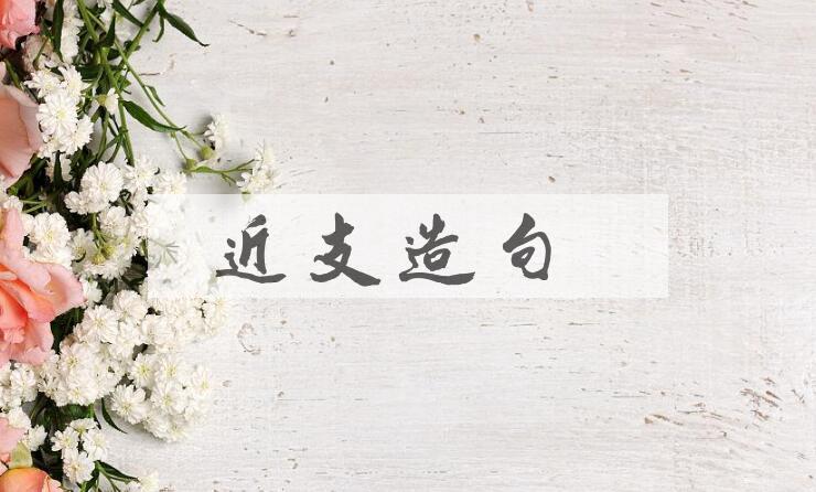 用近支造句