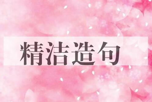 用精洁造句