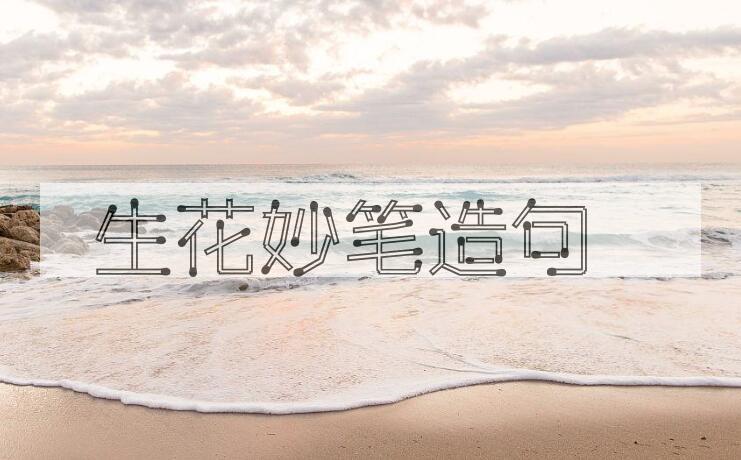 用生花妙笔造句