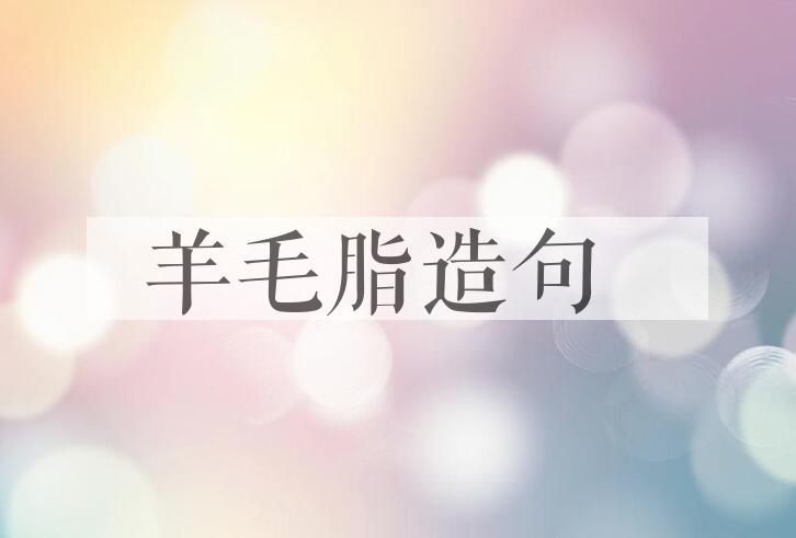用羊毛脂造句