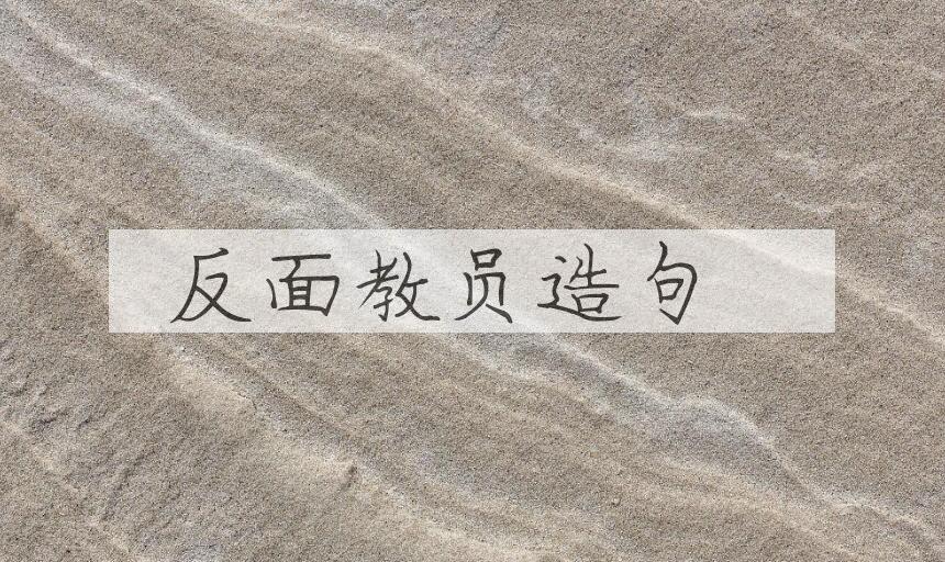 用反面教员造句
