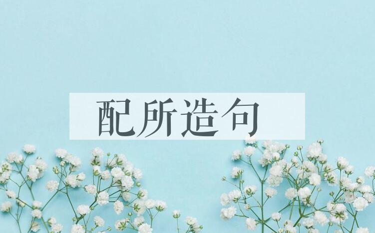 用配所造句