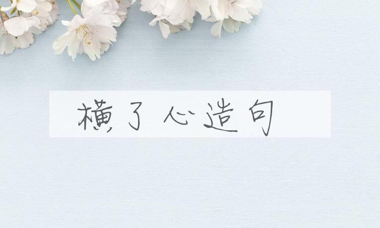 用横了心造句