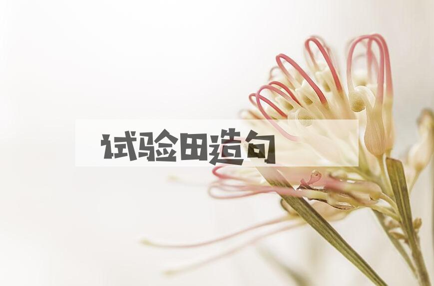用试验田造句
