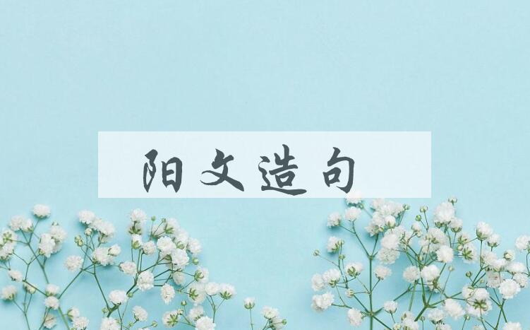 用阳文造句
