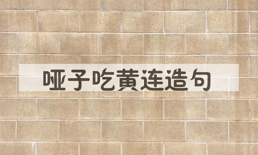 用哑子吃黄连造句