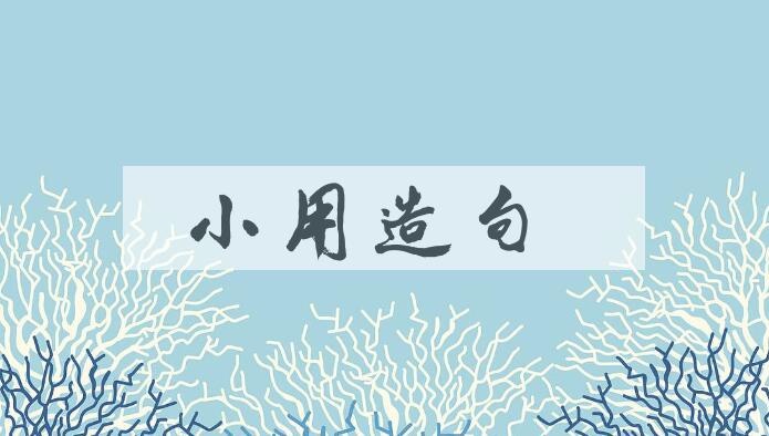 用小用造句