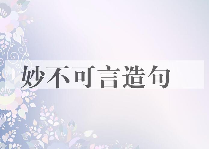 用妙不可言造句
