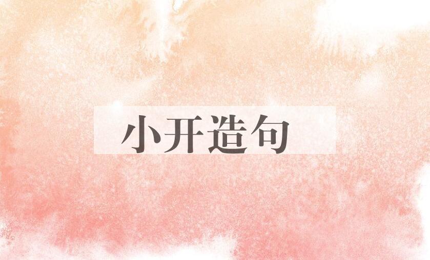 用小开造句