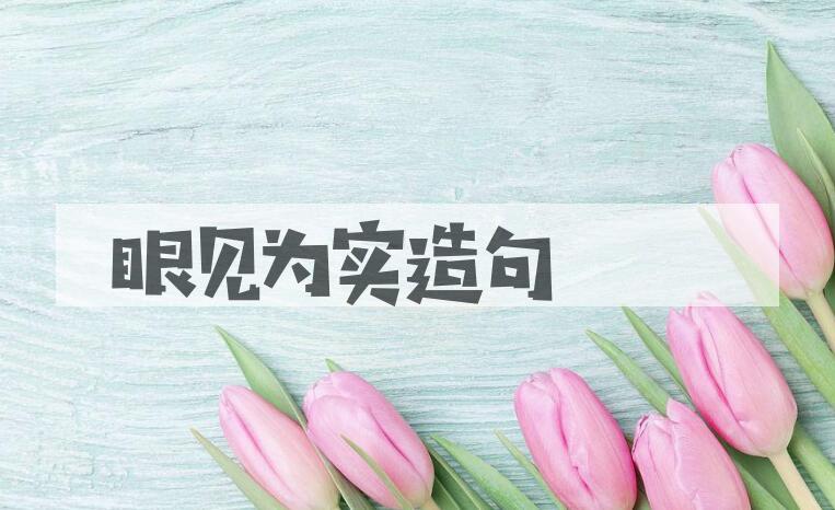 用眼见为实造句