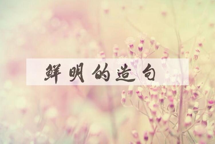 用鲜明的造句