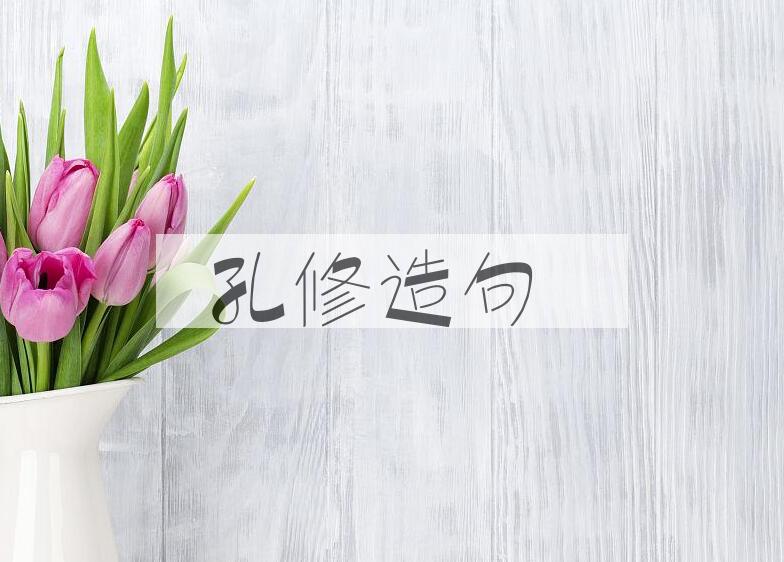 用孔修造句