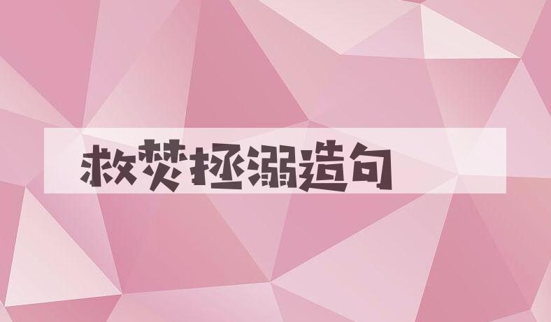 用救焚拯溺造句