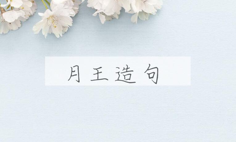 用月王造句