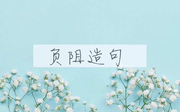 用负阻造句
